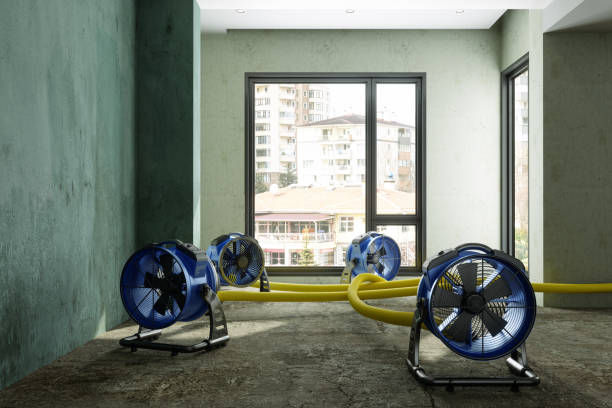 Reliable Kellogg, ID Water damage restoration Solutions